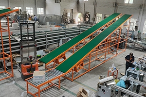 Loading and unloading ramp conveyor