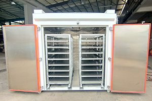 Equipped with a trolley rack oven