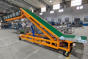 Container loading and unloading conveyor